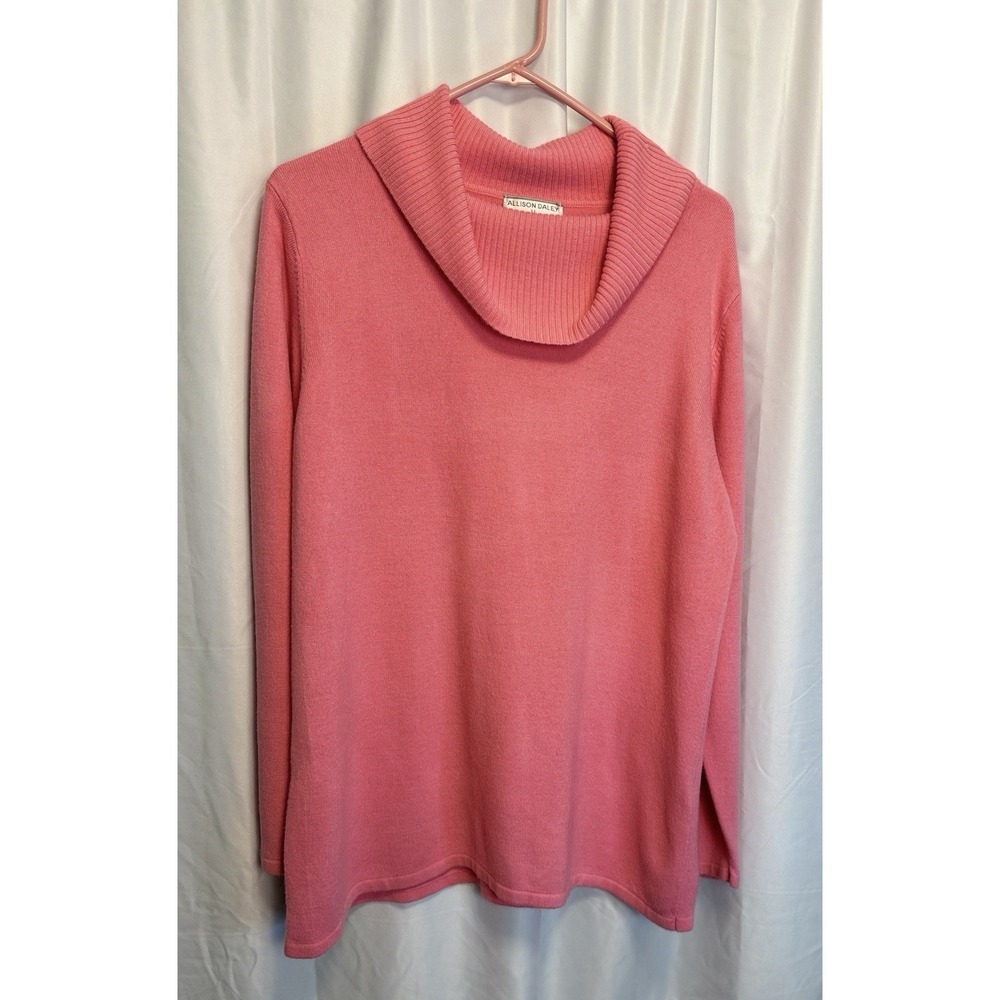 Allison Daley Women's 2 XL Pink Sweater Cowl neck